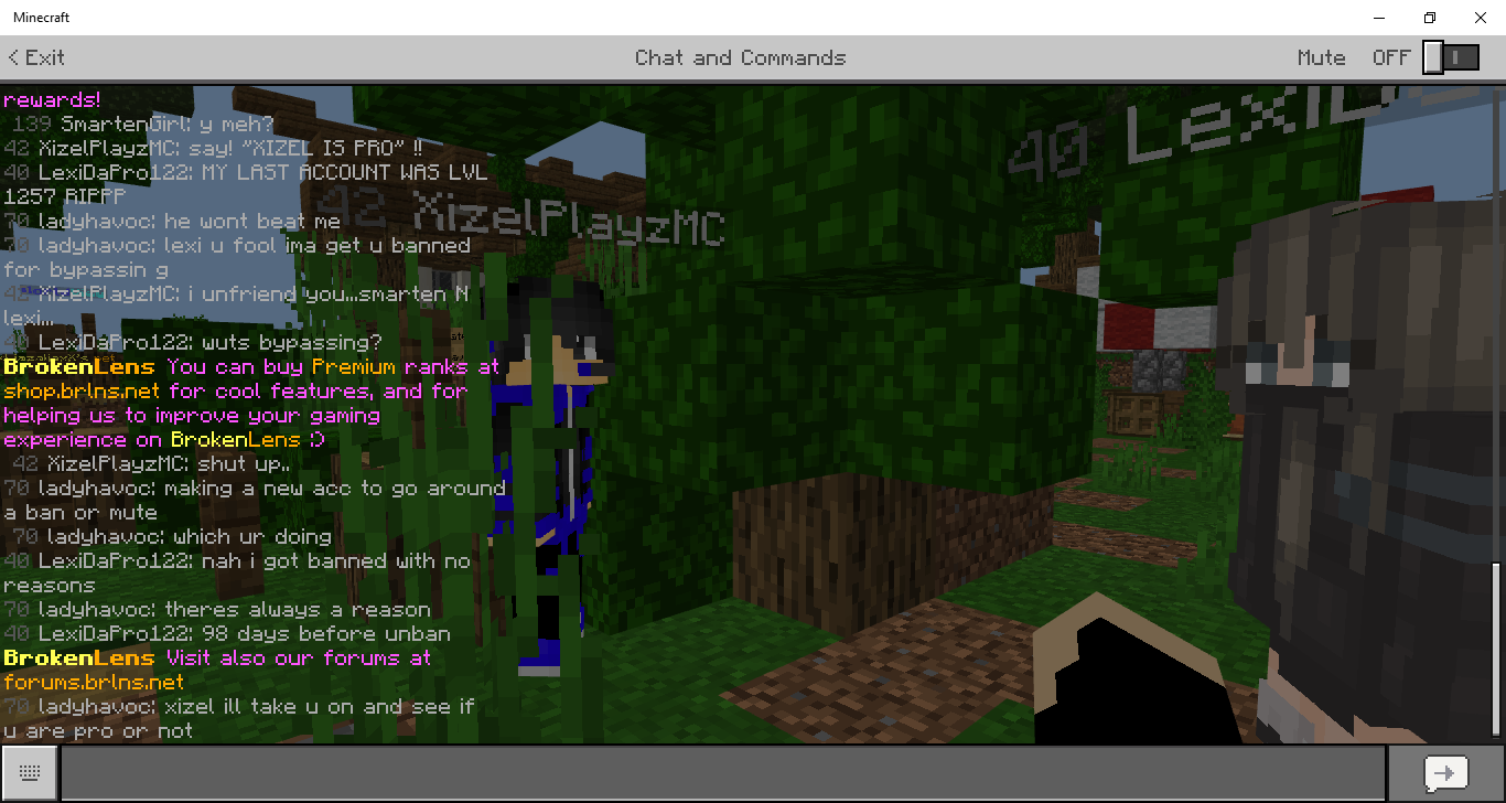 Minecraft 3_29_2019 10_05_55 AM.png