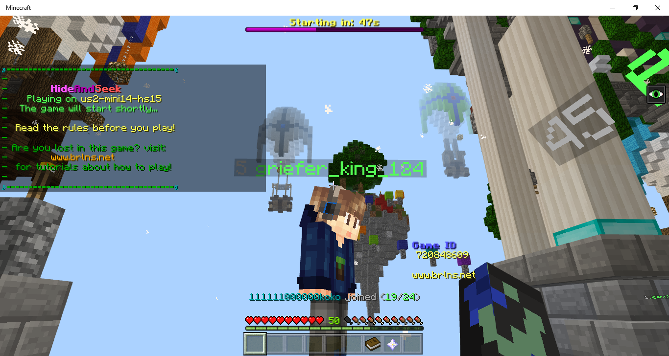 Minecraft 3_3_2019 5_08_26 PM.png