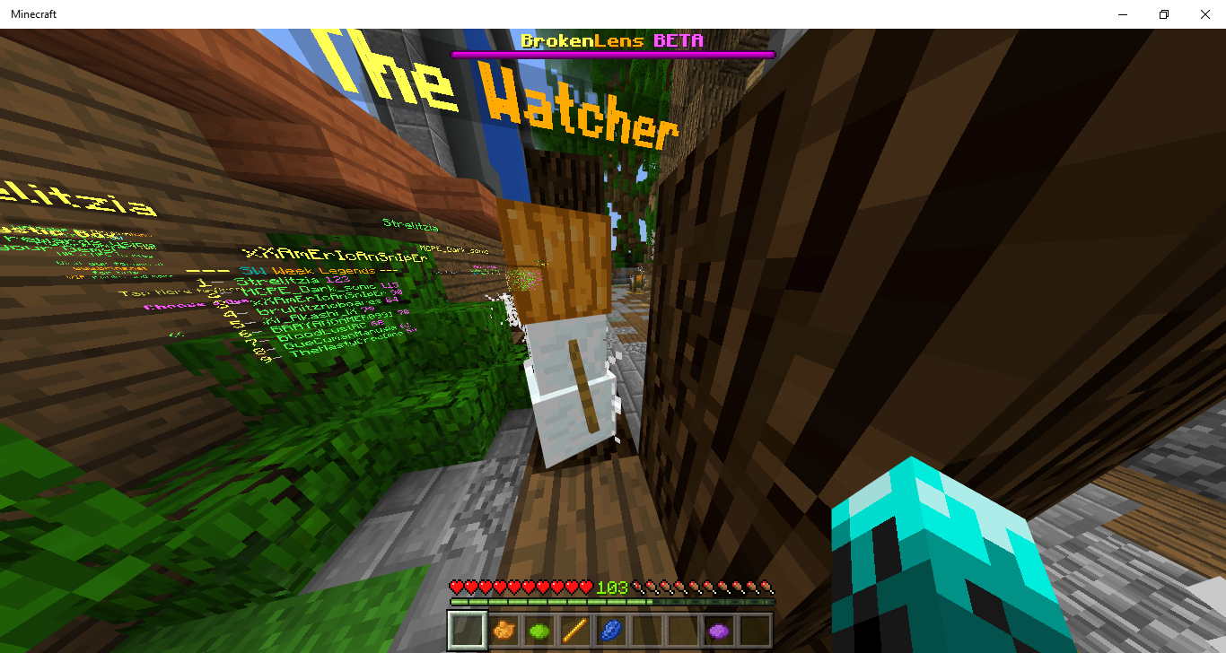Minecraft 4_25_2018 7_00_55 PM.png