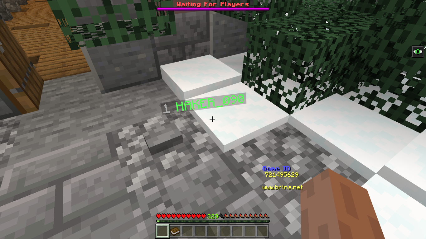 Minecraft 4_3_2019 1_24_40 PM.png