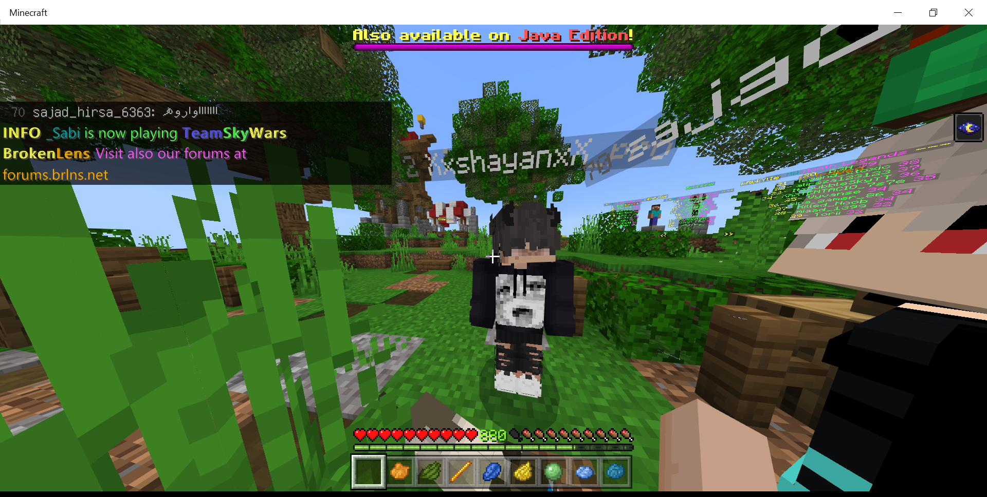 Minecraft 5_06_2020 9_20_52 PM.png