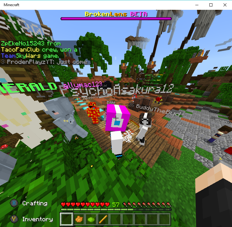 Minecraft 5_17_2018 8_04_26 PM.png