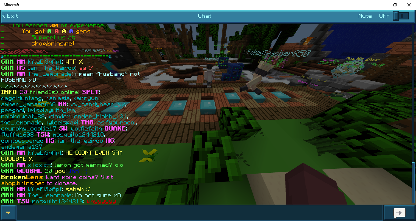 Minecraft 5_4_2018 6_45_57 PM.png