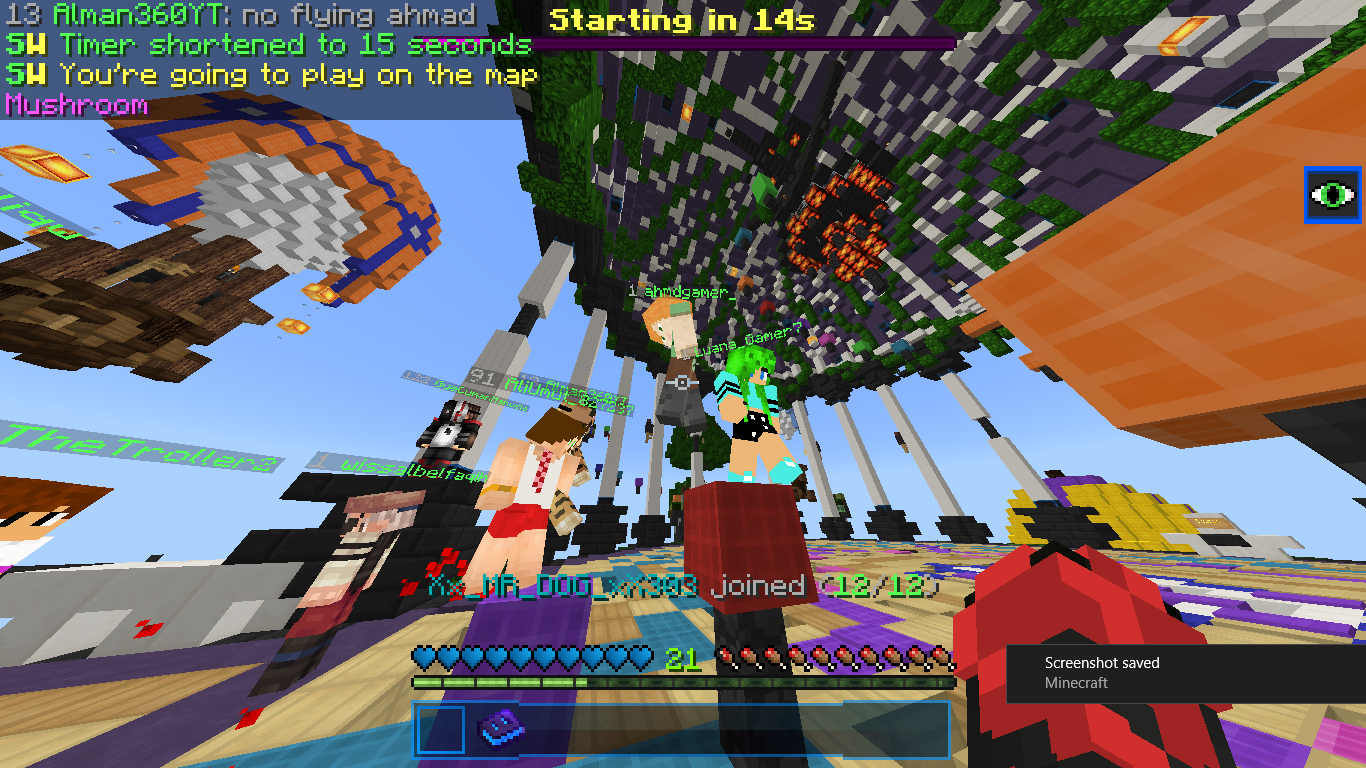 Minecraft 6_11_2018 12_24_40 PM.png