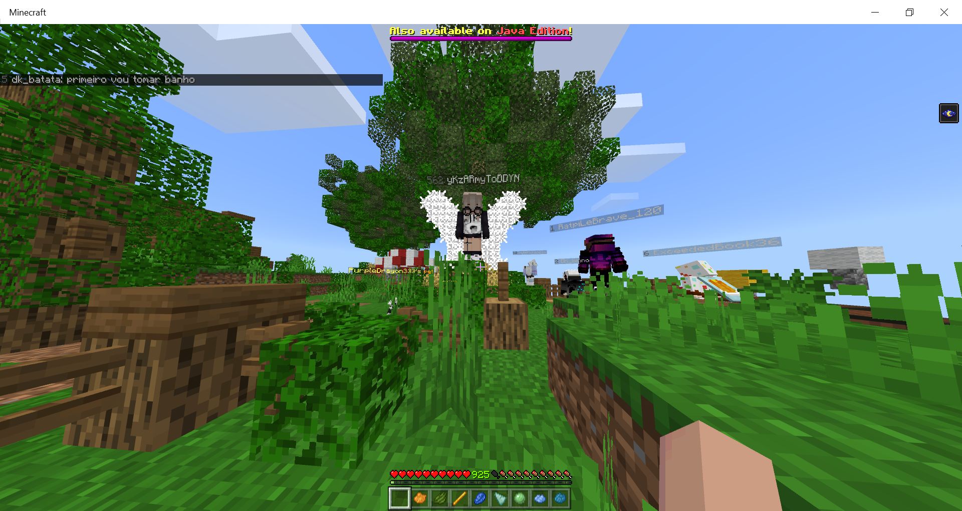 Minecraft 7_08_2020 11_21_40 PM.png