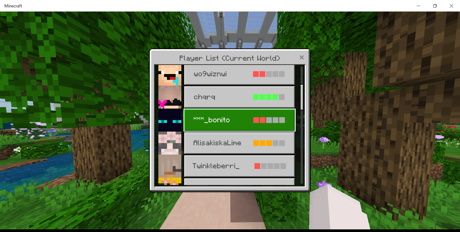 Minecraft 8_06_2020 1_01_59 AM.png