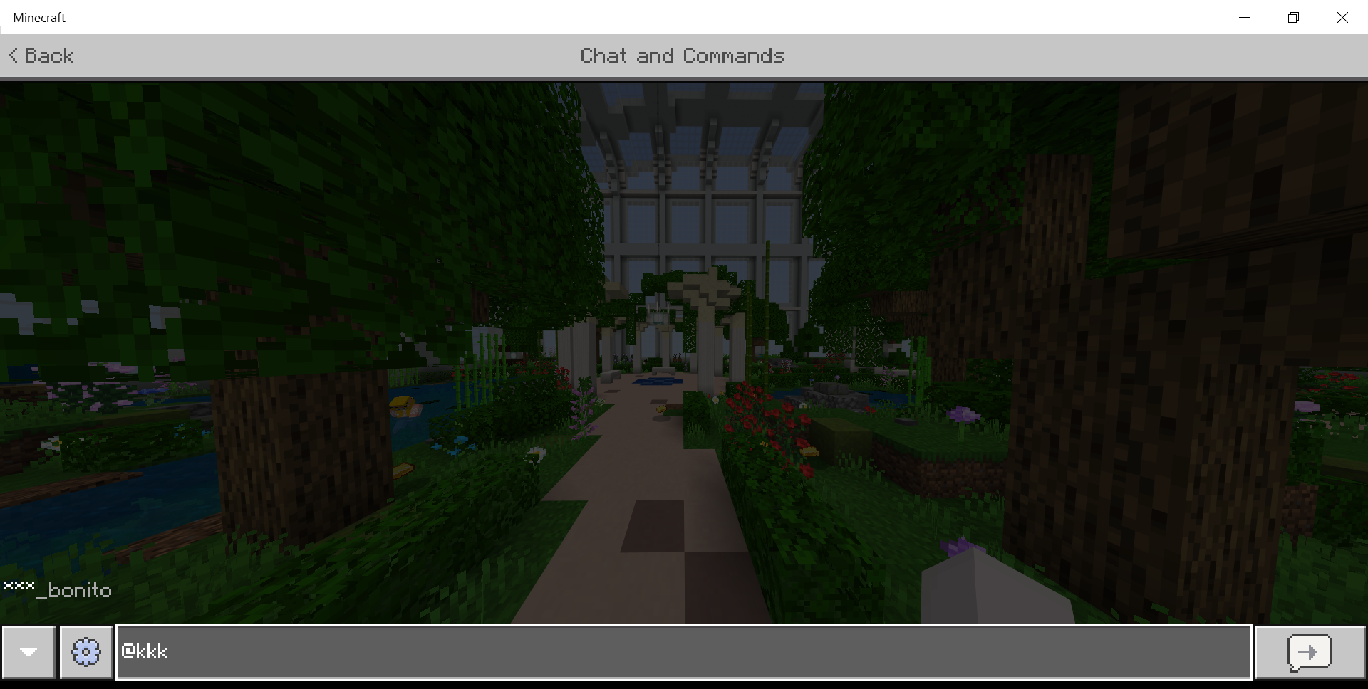 Minecraft 8_06_2020 1_02_27 AM.png