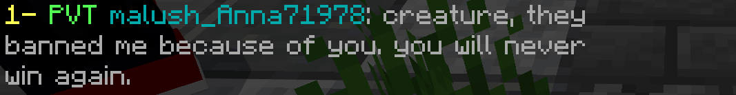 Minecraft 8_12_2019 3_43_40 PM (2).png