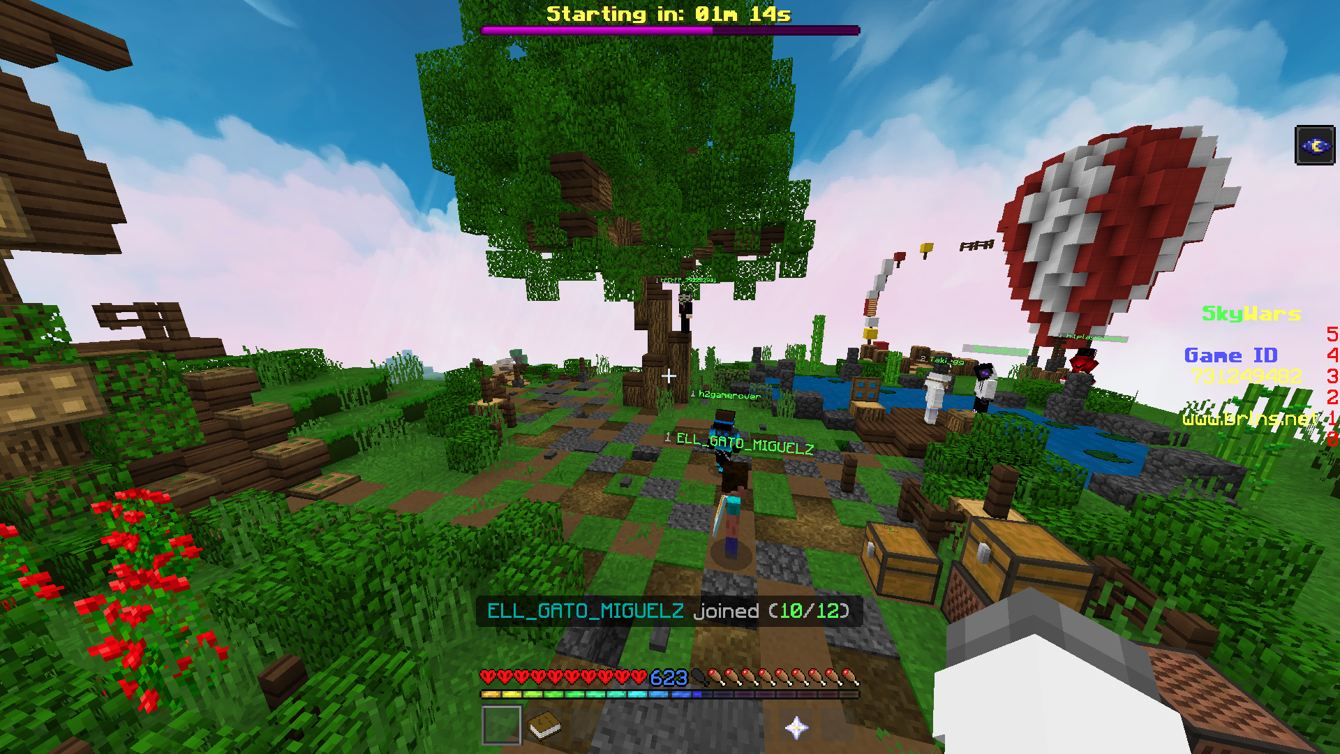 Minecraft 8_13_2020 5_17_07 PM.png