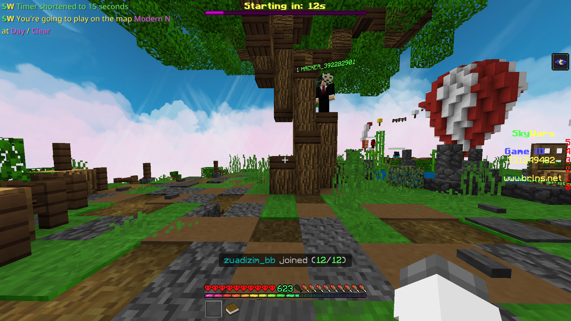 Minecraft 8_13_2020 5_17_13 PM.png