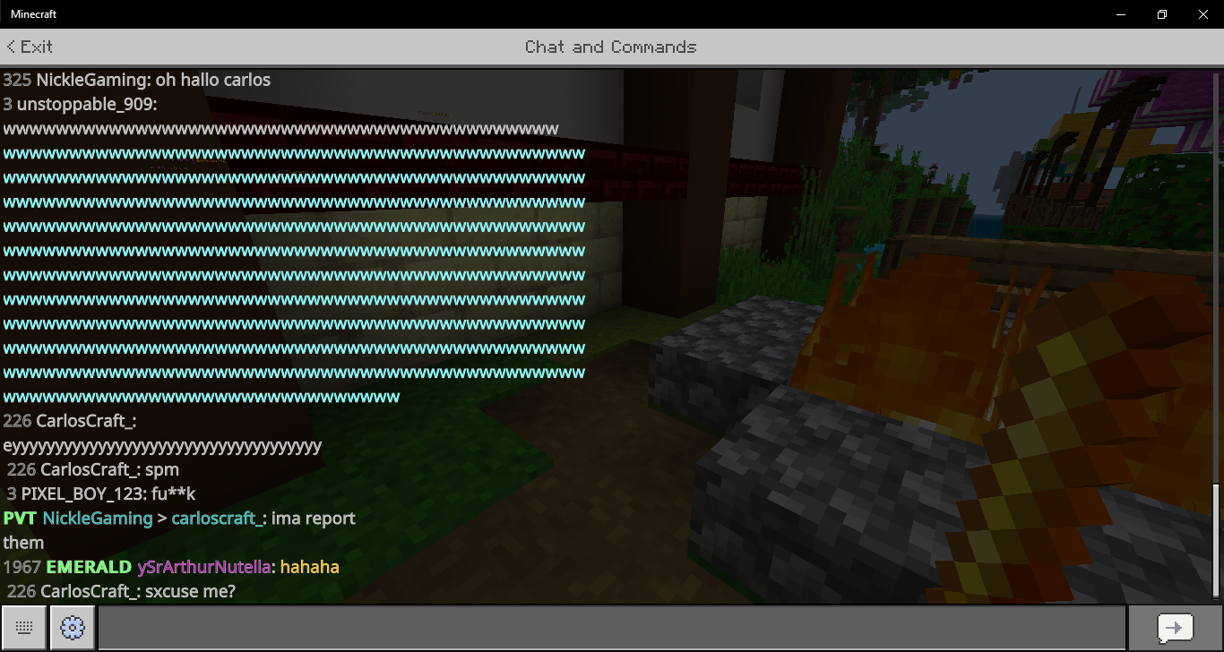 Minecraft 8_25_2021 9_29_41 PM.png