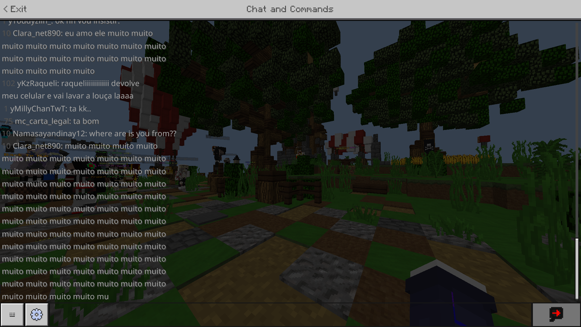 Minecraft 8_8_2020 1_02_58 PM.png