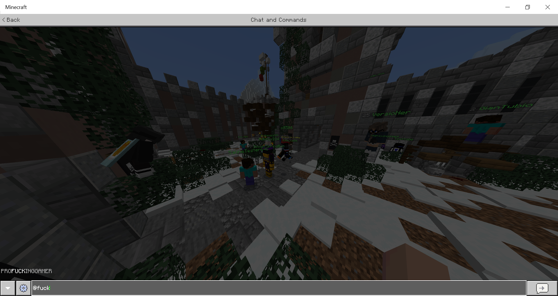 Minecraft 9_08_2020 8_55_05 PM.png