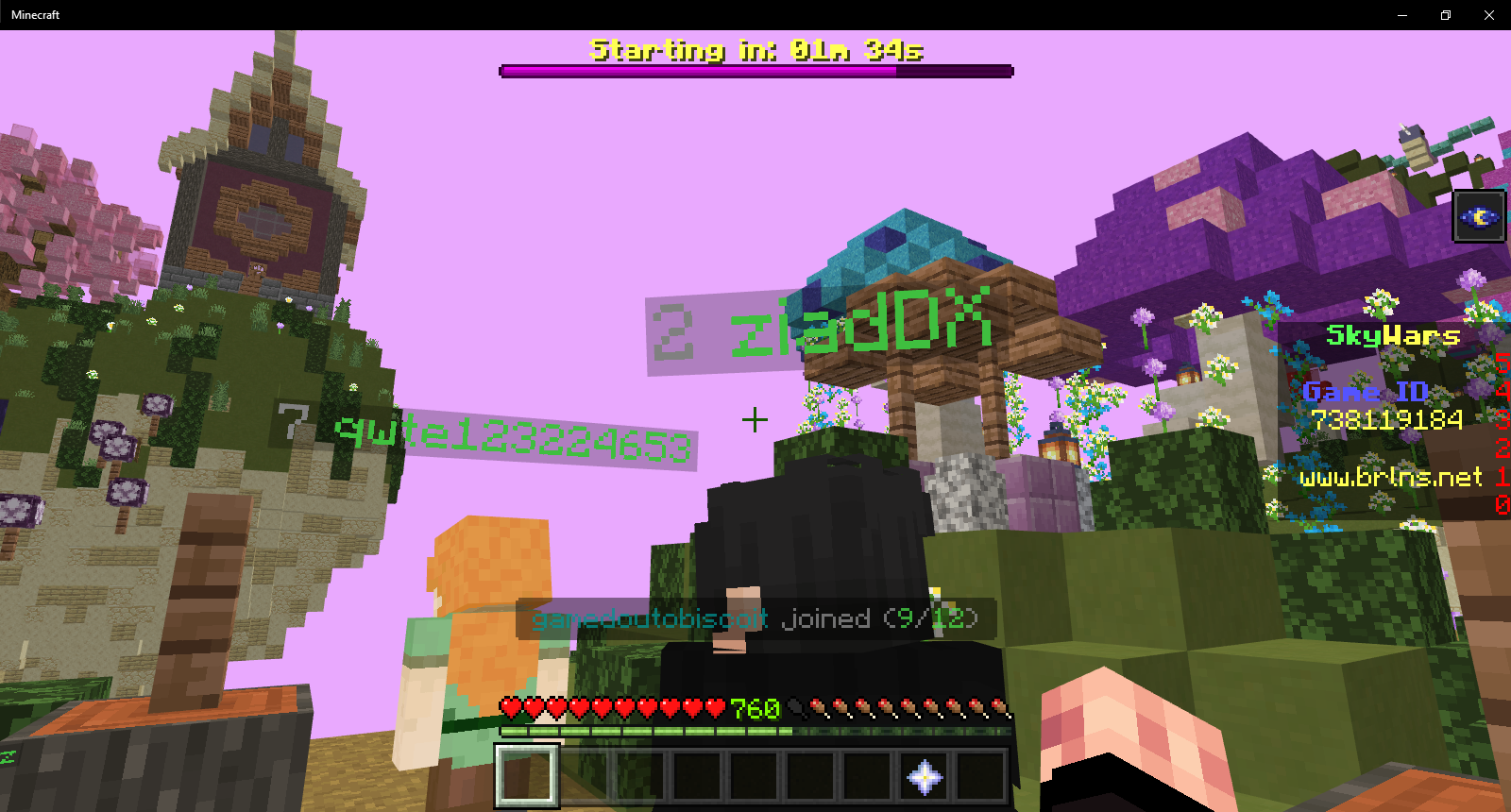 Minecraft 9_11_2021 4_51_24 PM.png