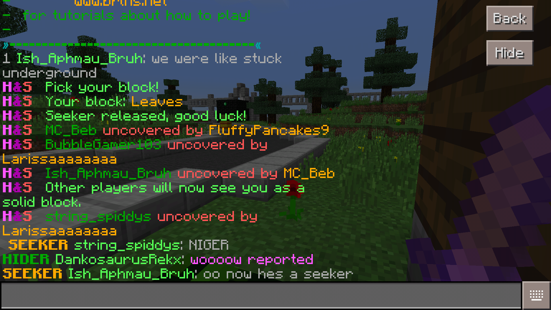 Minecraft - Pocket Edition_2017-04-10-15-59-20.png