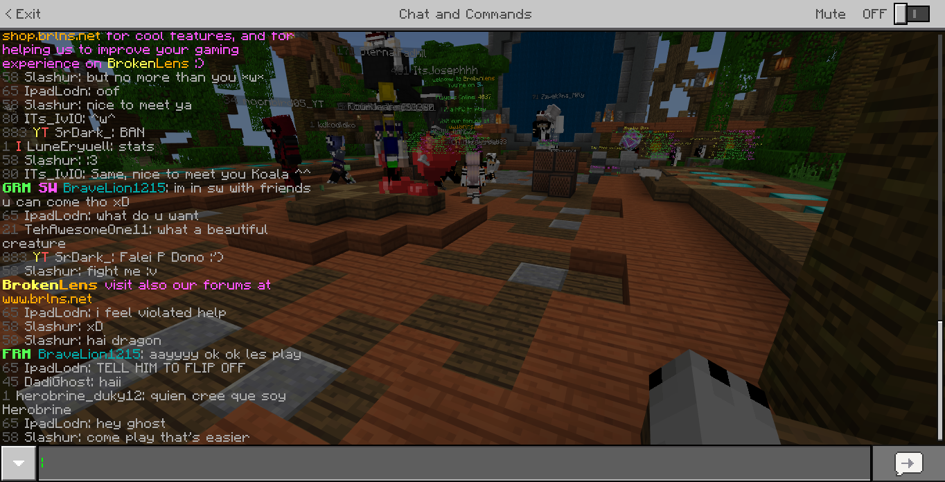 Minecraft Screenshot 2018.06.14 - 17.21.29.38.png