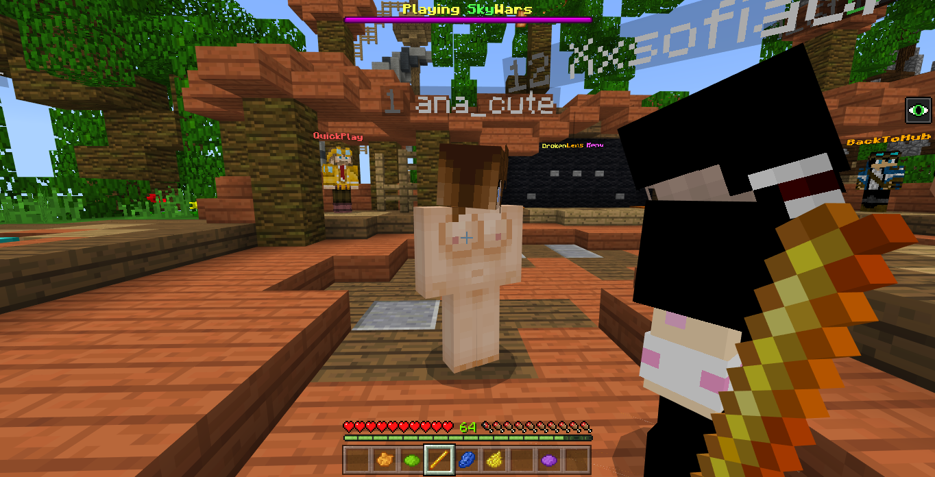 Minecraft Screenshot 2018.06.19 - 21.55.42.98.png