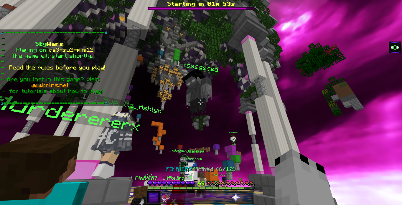 Minecraft Screenshot 2018.06.21 - 21.51.23.39.png