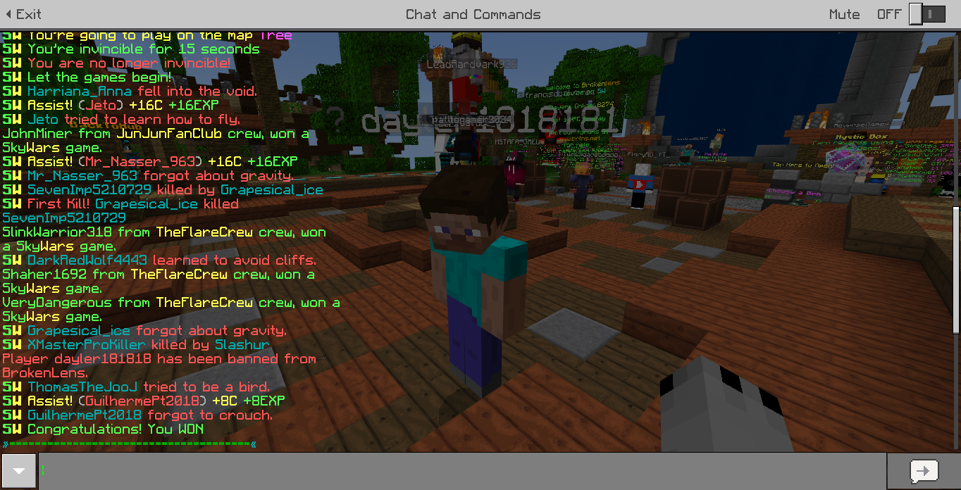 Minecraft Screenshot 2018.06.23 - 08.43.09.88.png