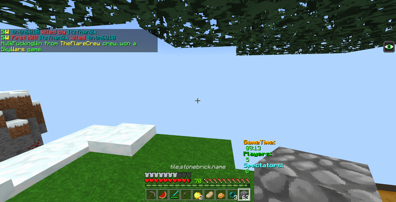 Minecraft Screenshot 2018.06.23 - 19.41.07.79.png