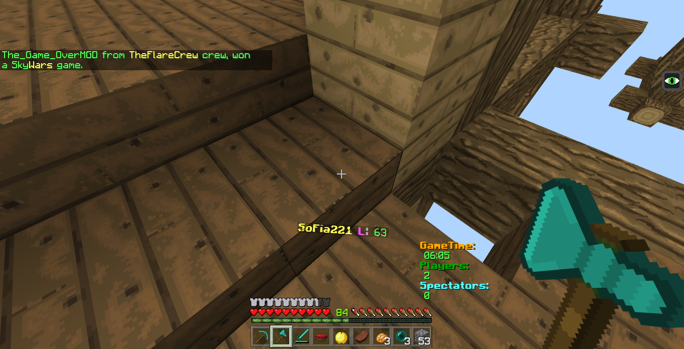 Minecraft Screenshot 2018.07.02 - 08.32.00.96.png