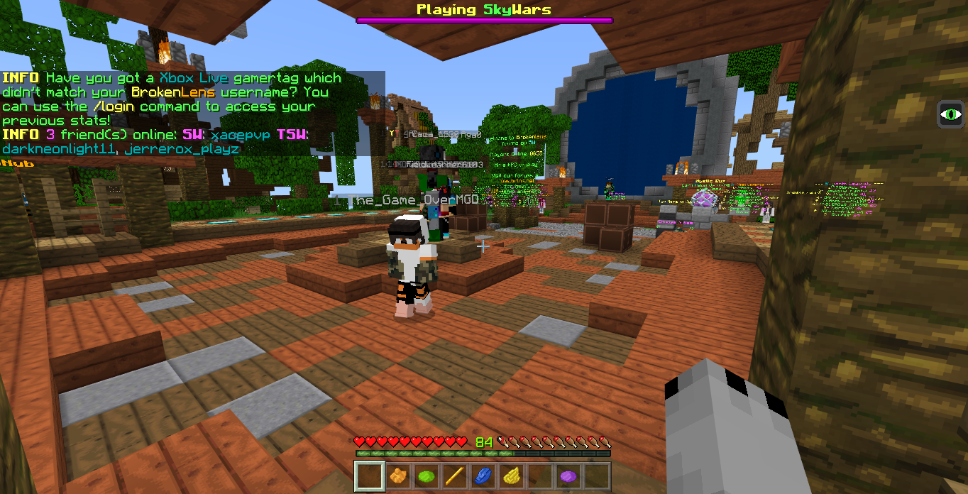 Minecraft Screenshot 2018.07.02 - 08.36.40.96.png