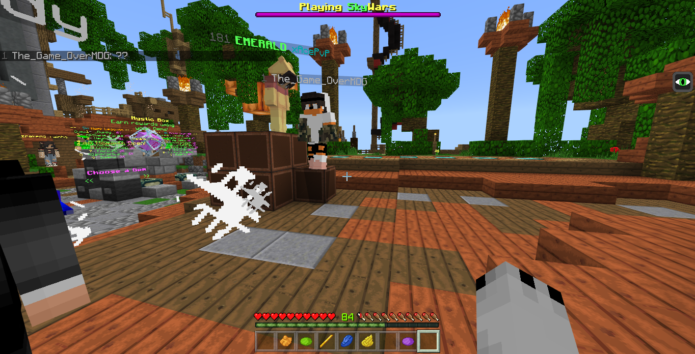 Minecraft Screenshot 2018.07.02 - 08.52.08.31.png