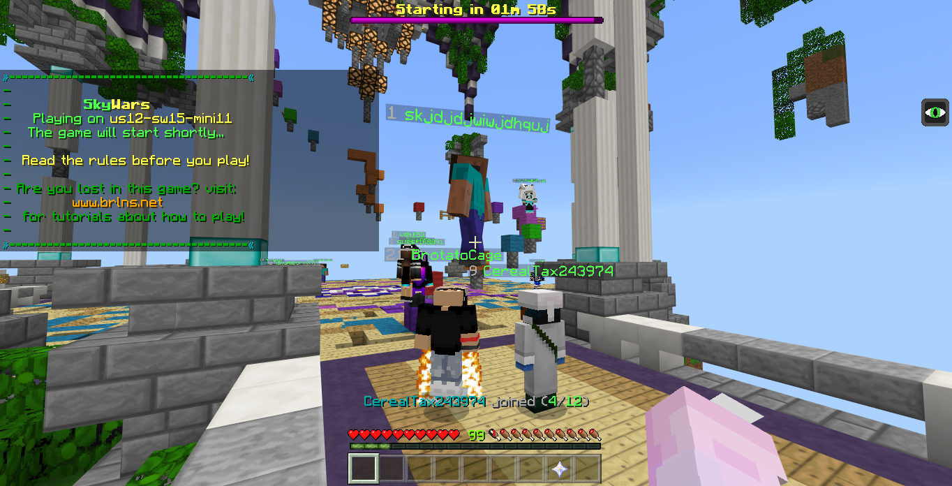 Minecraft Screenshot 2018.07.13 - 13.48.12.79.png