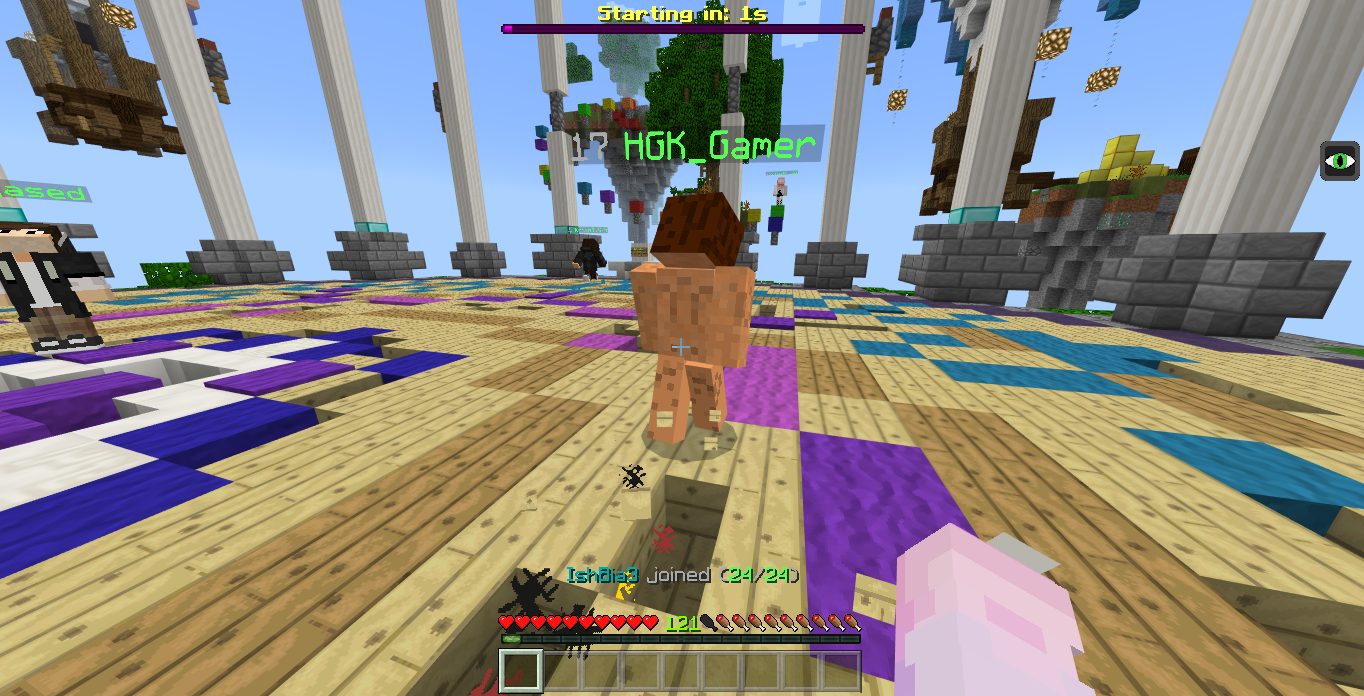 Minecraft Screenshot 2018.08.08 - 21.28.28.22.png
