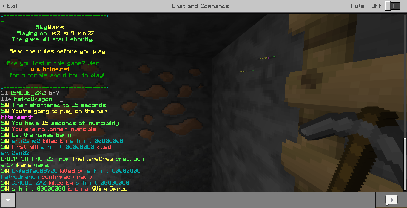 Minecraft Screenshot 2018.08.11 - 22.24.47.25.png