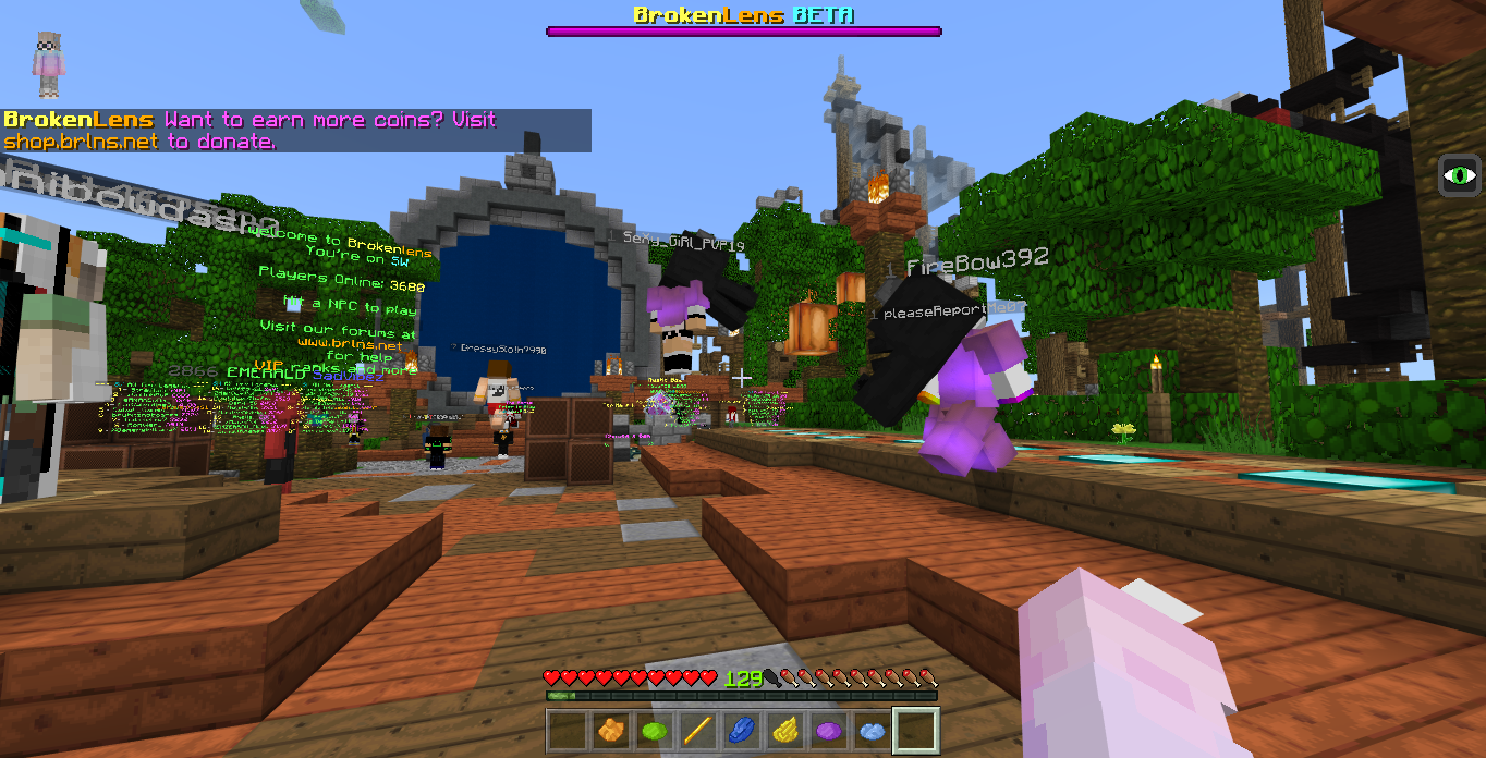 Minecraft Screenshot 2018.08.19 - 21.11.40.36.png