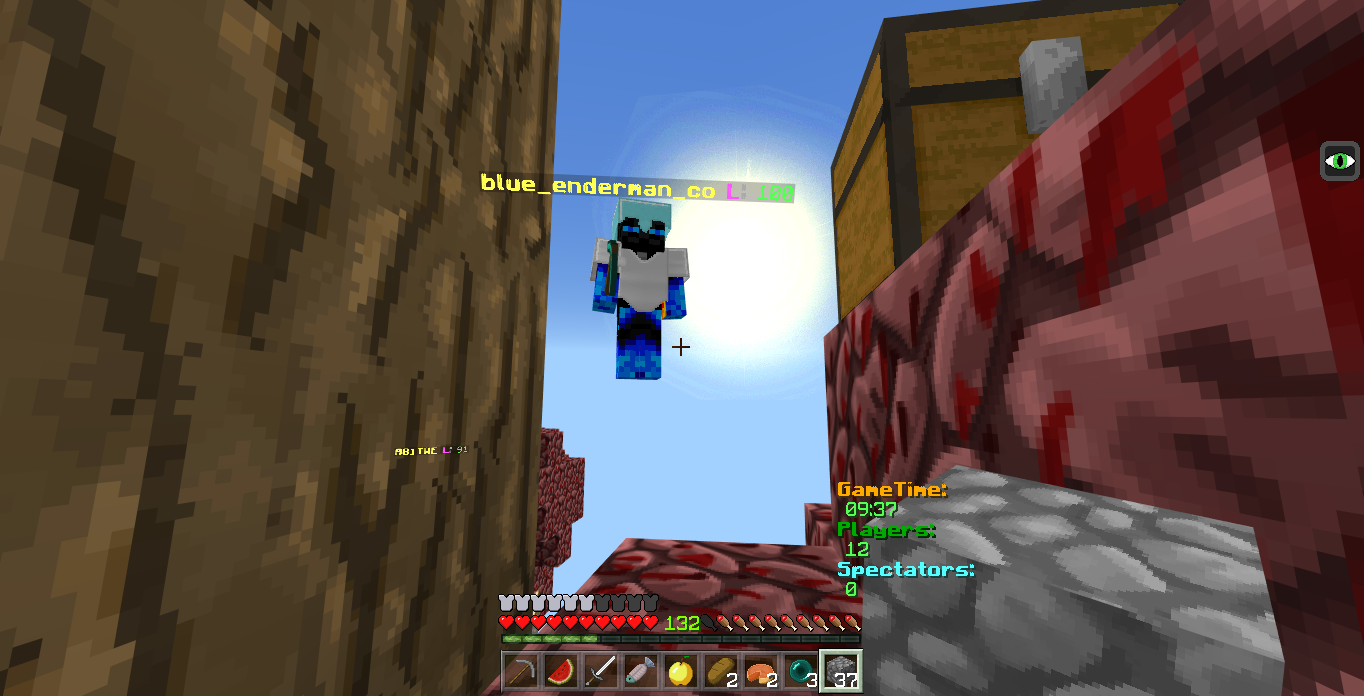 Minecraft Screenshot 2018.08.27 - 18.20.24.73.png