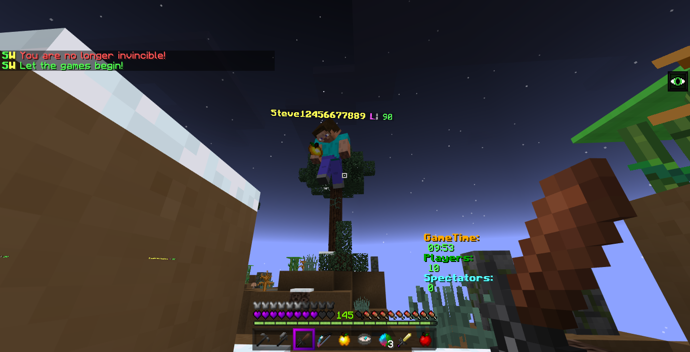 Minecraft Screenshot 2018.12.30 - 09.46.11.52.png