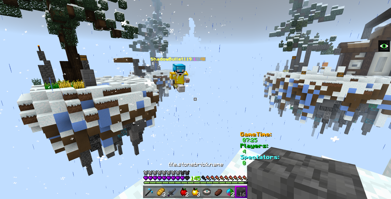 Minecraft Screenshot 2018.12.30 - 09.50.39.99.png