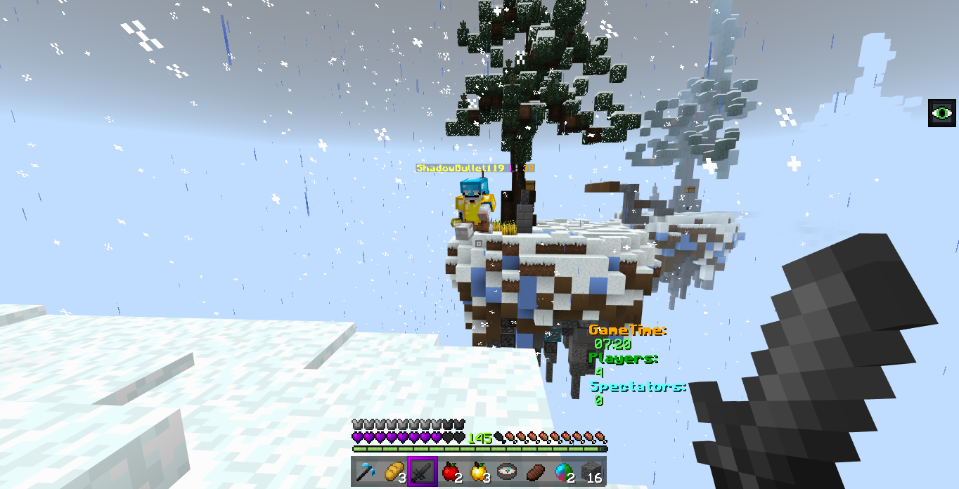 Minecraft Screenshot 2018.12.30 - 09.50.45.34.png