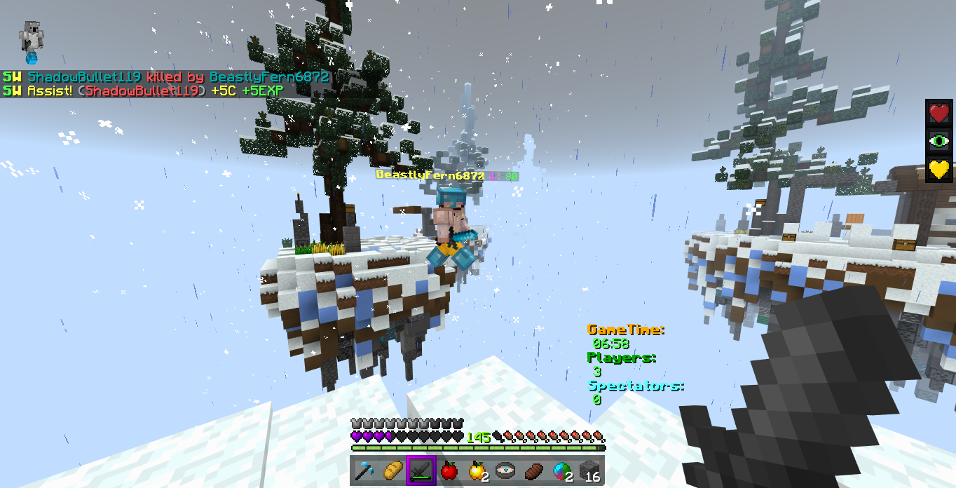 Minecraft Screenshot 2018.12.30 - 09.51.07.34.png