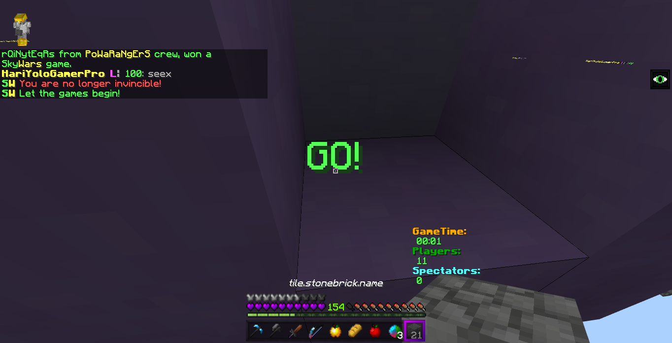 Minecraft Screenshot 2019.01.01 - 17.04.22.30.png