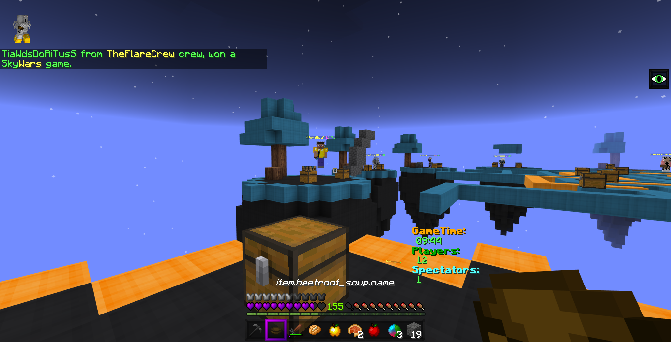 Minecraft Screenshot 2019.01.02 - 16.44.08.56.png