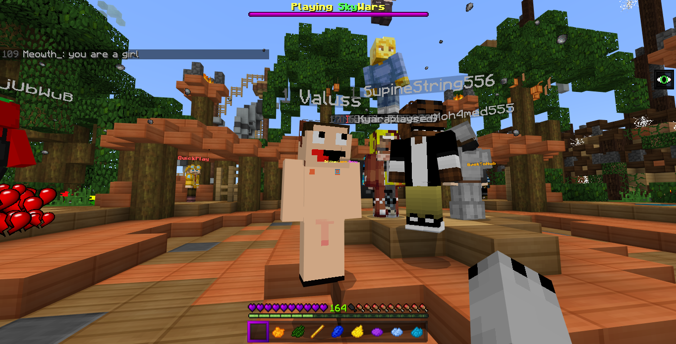 Minecraft Screenshot 2019.01.06 - 15.24.10.20.png