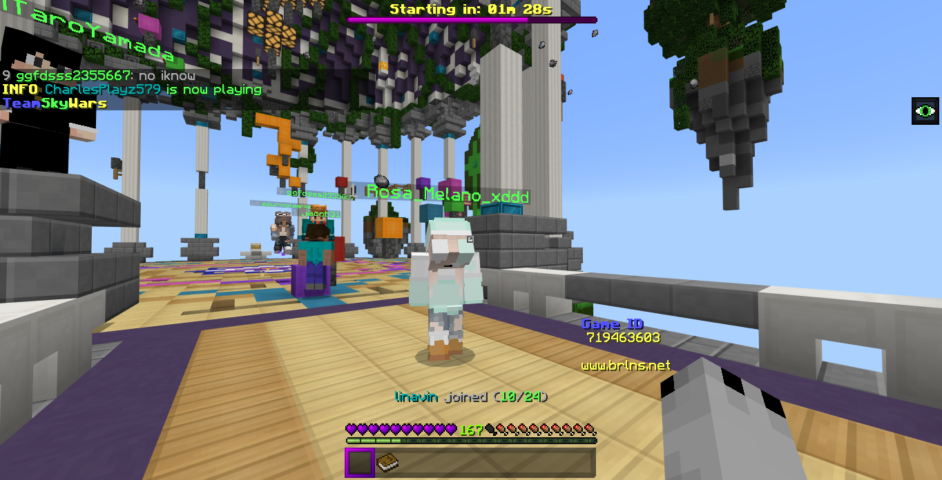 Minecraft Screenshot 2019.01.06 - 22.28.12.92.png