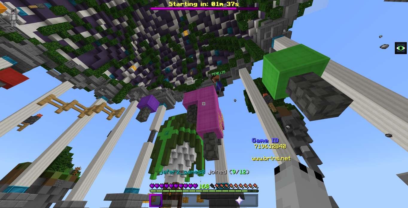 Minecraft Screenshot 2019.01.14 - 21.12.52.90.png