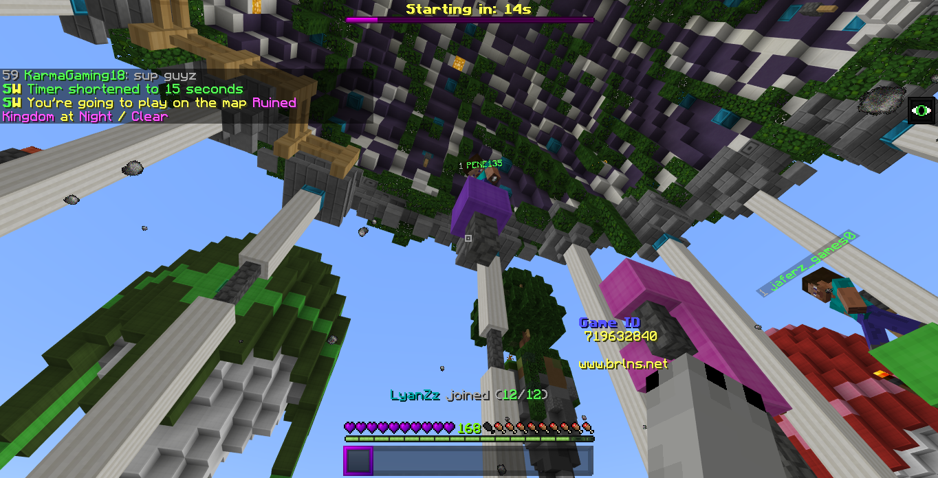 Minecraft Screenshot 2019.01.14 - 21.12.58.75.png