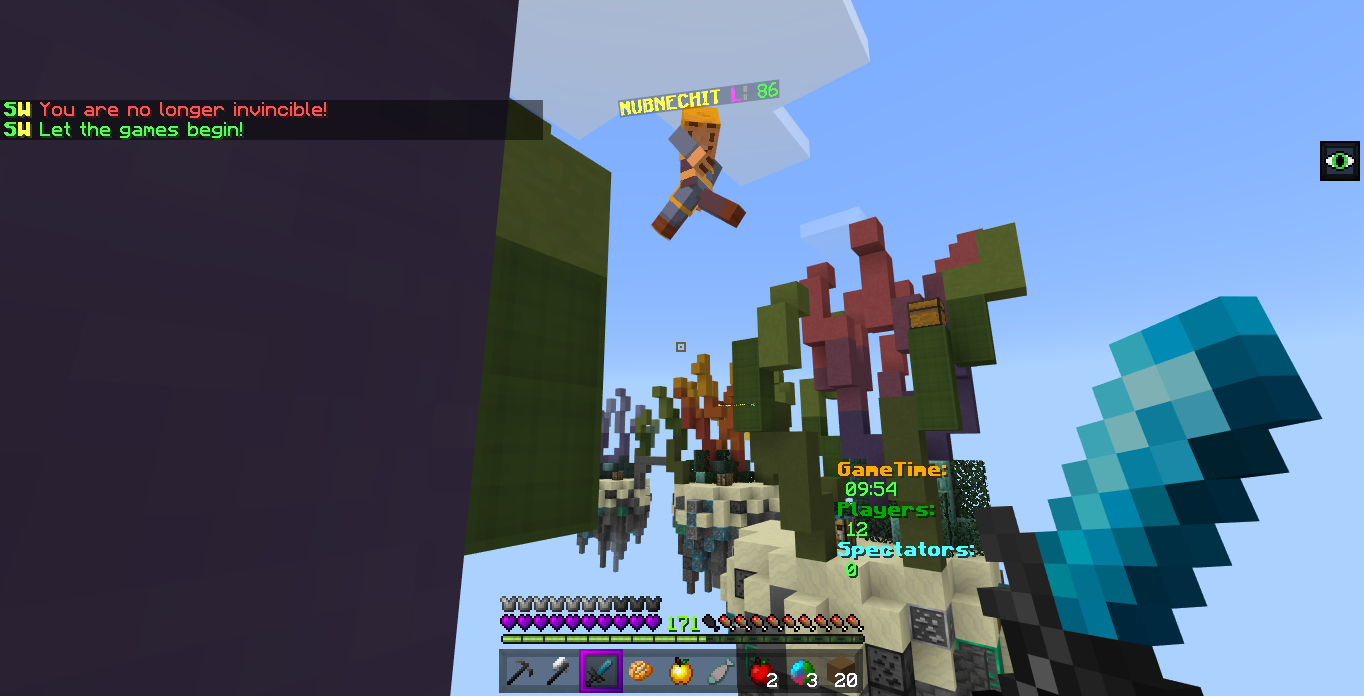 Minecraft Screenshot 2019.01.18 - 21.09.45.96.png