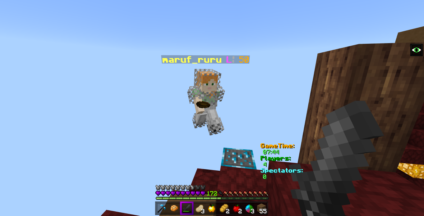 Minecraft Screenshot 2019.01.19 - 21.51.19.75.png