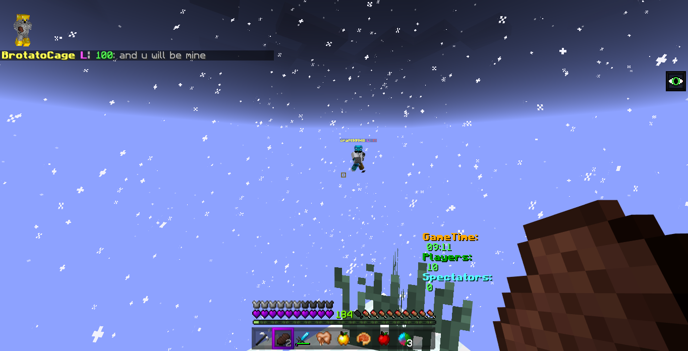Minecraft Screenshot 2019.02.01 - 21.48.43.31.png