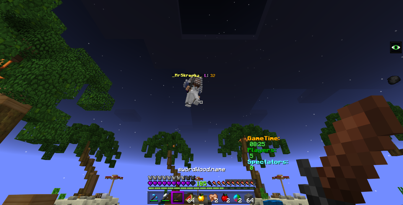 Minecraft Screenshot 2019.02.17 - 11.59.29.00.png