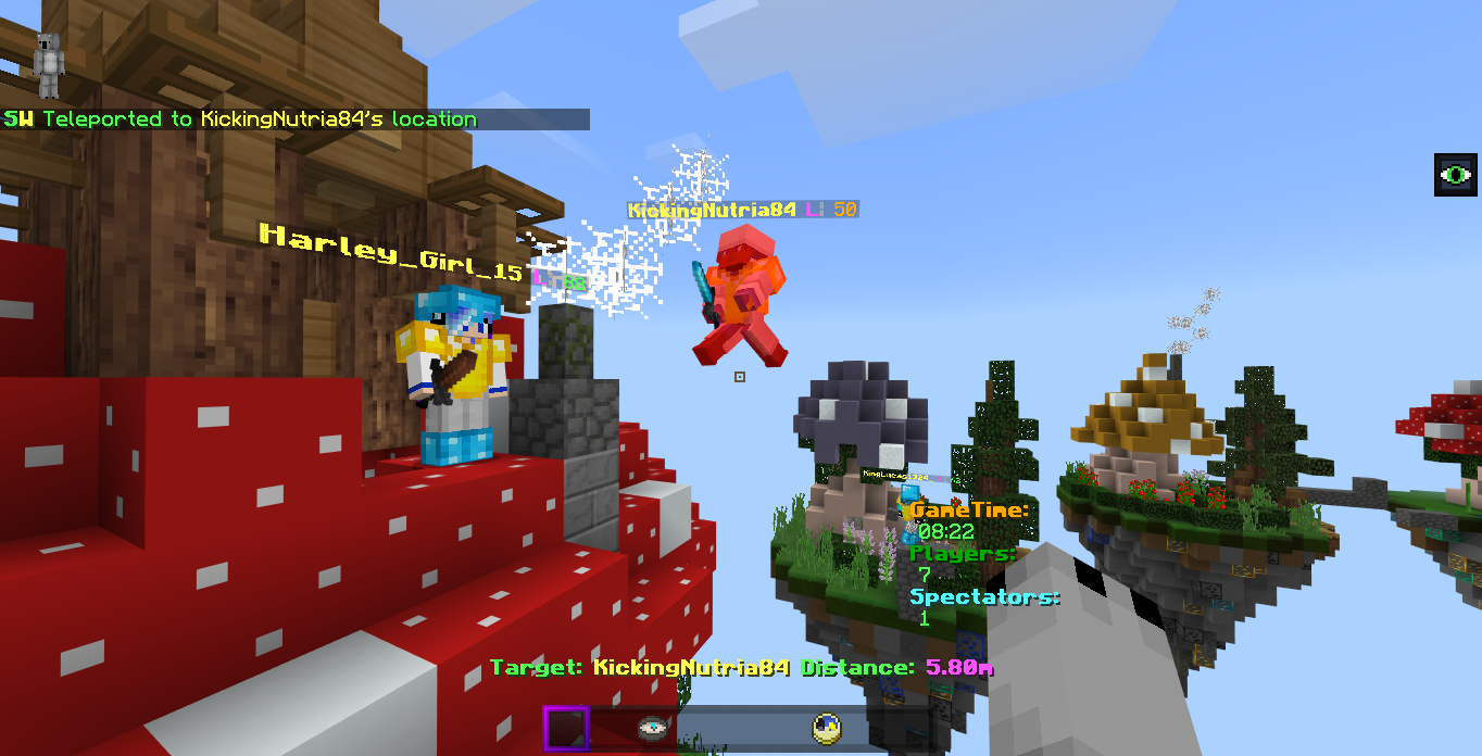 Minecraft Screenshot 2019.02.17 - 15.00.55.13.png