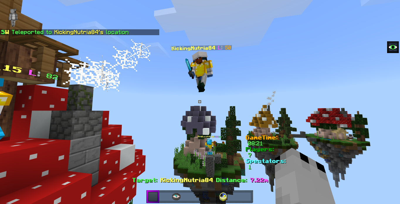 Minecraft Screenshot 2019.02.17 - 15.00.56.07.png