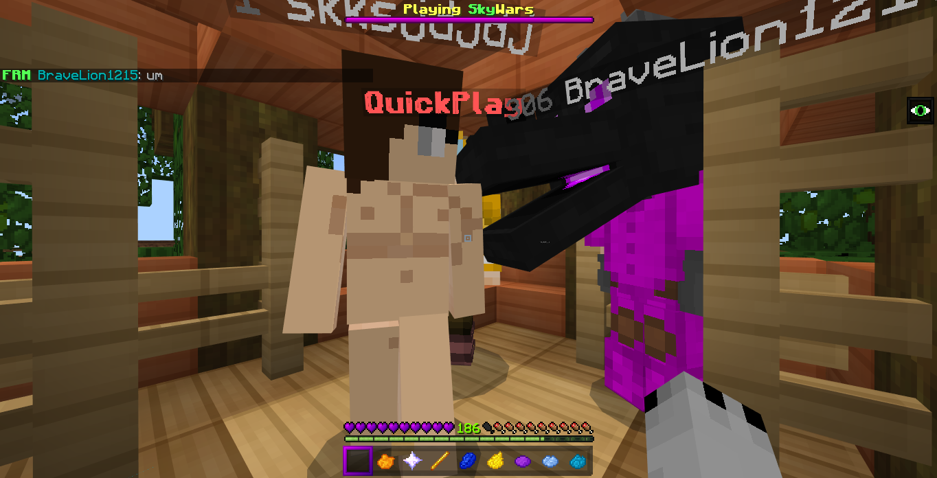 Minecraft Screenshot 2019.02.17 - 15.37.49.27.png