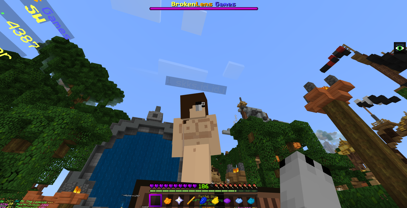 Minecraft Screenshot 2019.02.17 - 15.38.09.47.png